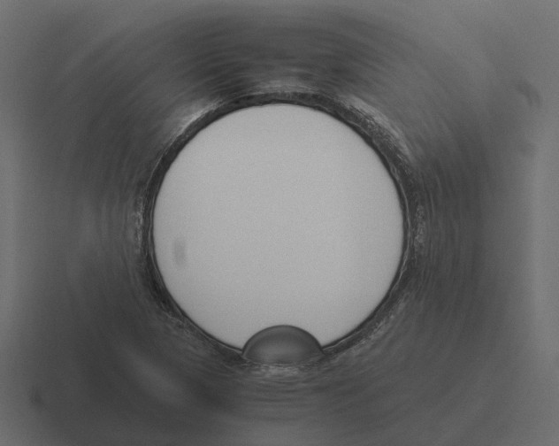 X0000116331313200912291545