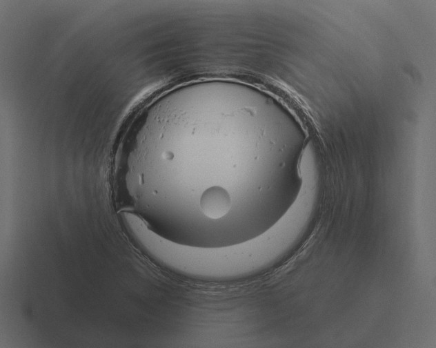 X0000116331314200912291545