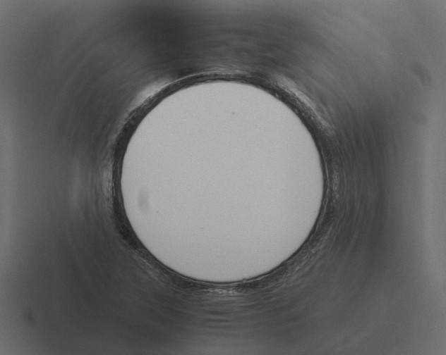 X0000116331315200912291545