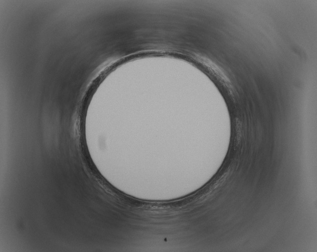 X0000116331318200912291545