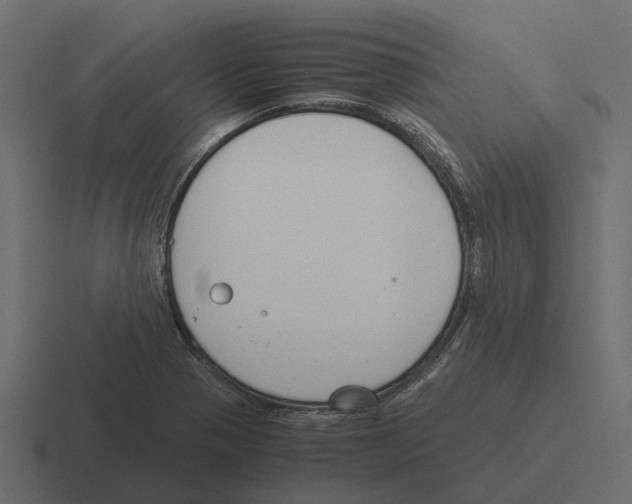 X0000116331321200912291545