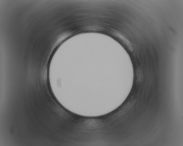 X0000116331322200912291545