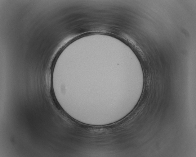 X0000116331323200912291545