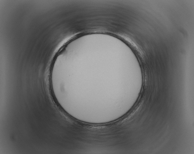 X0000116331325200912291545