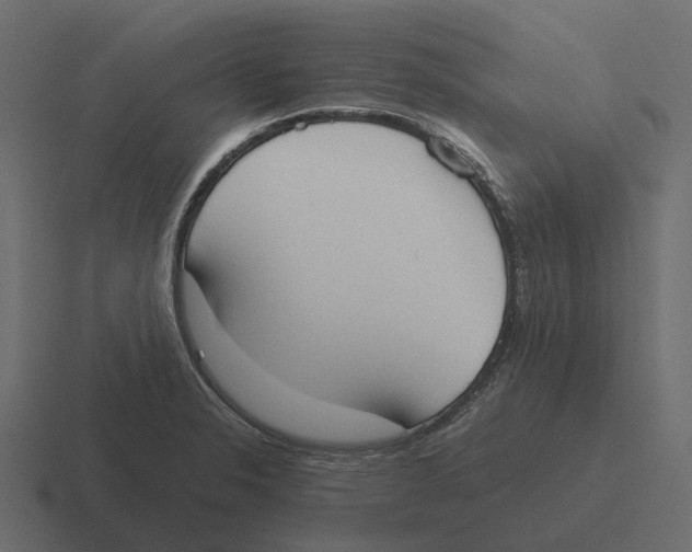 X0000116331326200912291545