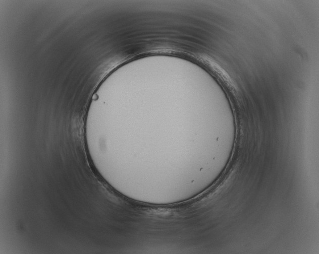 X0000116331329200912291545