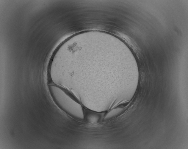 X0000116331331200912291545