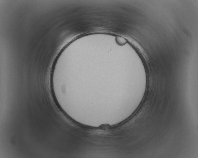 X0000116331333200912291545