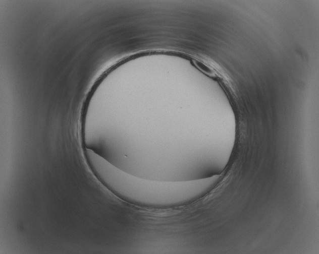 X0000116331334200912291545