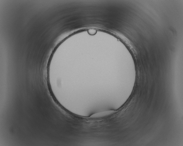 X0000116331335200912291545