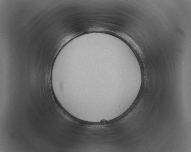 X0000116331337200912291545