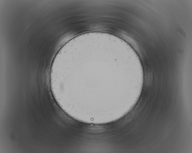 X0000116331338200912291545