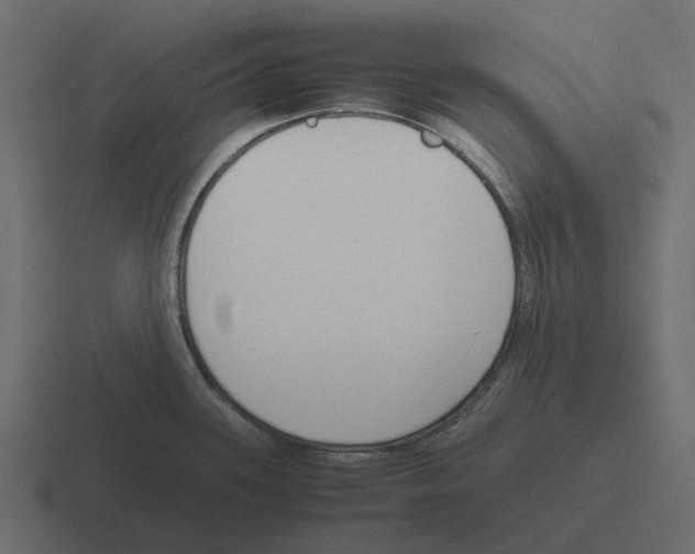 X0000116331339200912291545