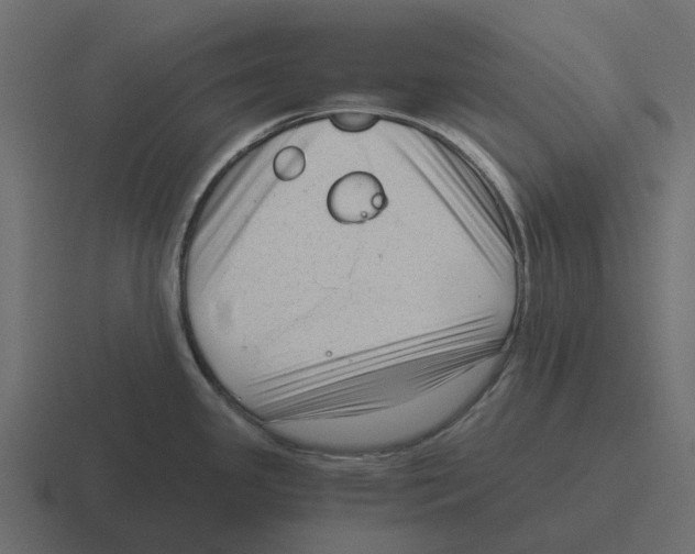 X0000116331341200912291545