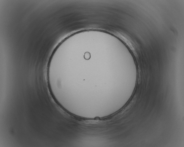 X0000116331342200912291545