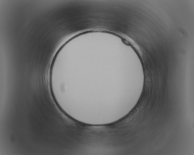 X0000116331343200912291545