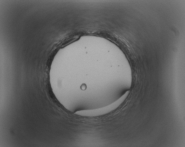 X0000116331349200912291545