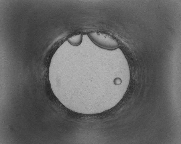 X0000116331351200912291545