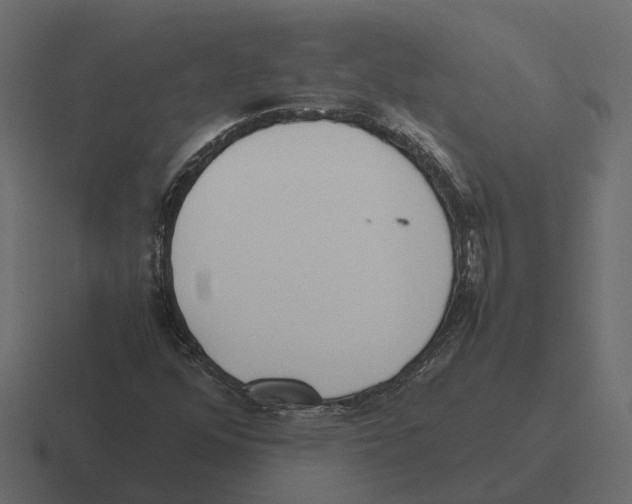 X0000116331352200912291545