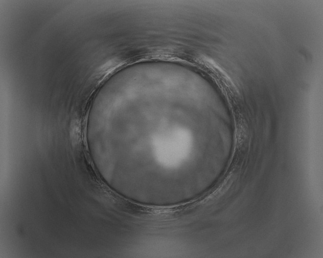 X0000116331353200912291545