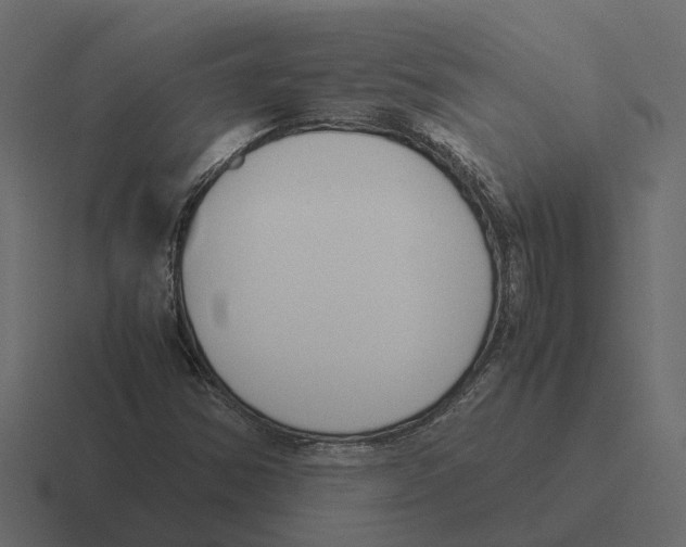 X0000116331354200912291545