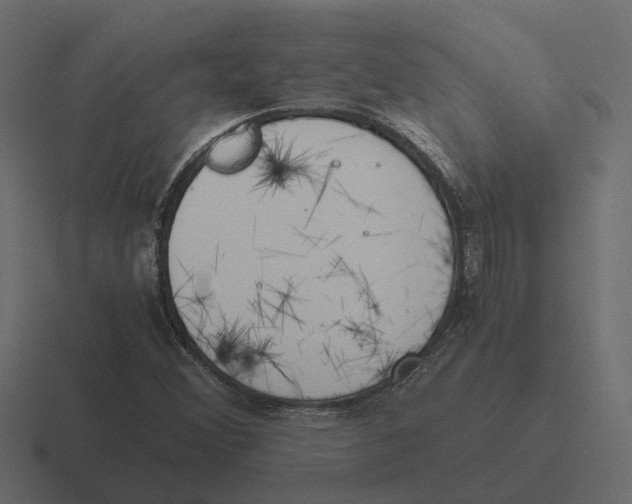 X0000116331356200912291545