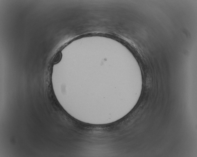 X0000116331359200912291544