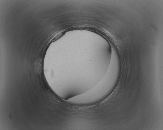 X0000116331361200912291544