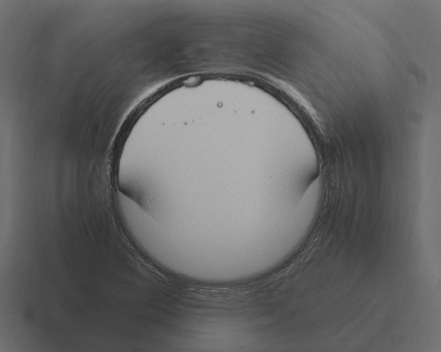 X0000116331364200912291544