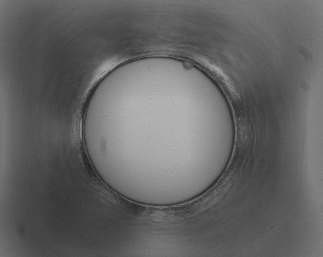 X0000116331365200912291544