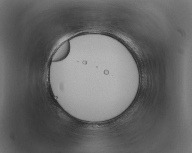 X0000116331366200912291544