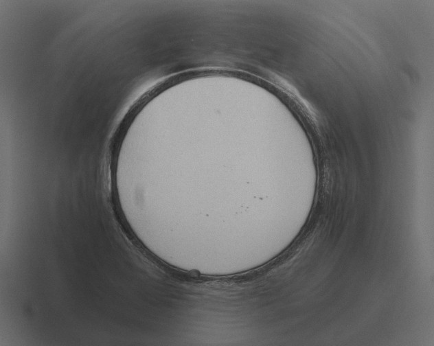 X0000116331368200912291544