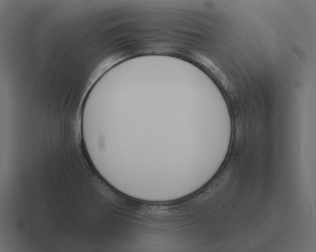 X0000116331370200912291544