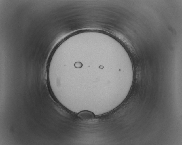 X0000116331372200912291544