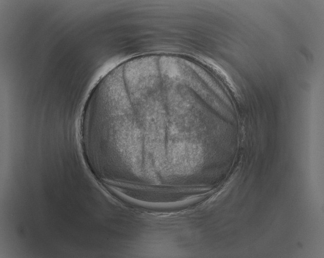 X0000116331373200912291544