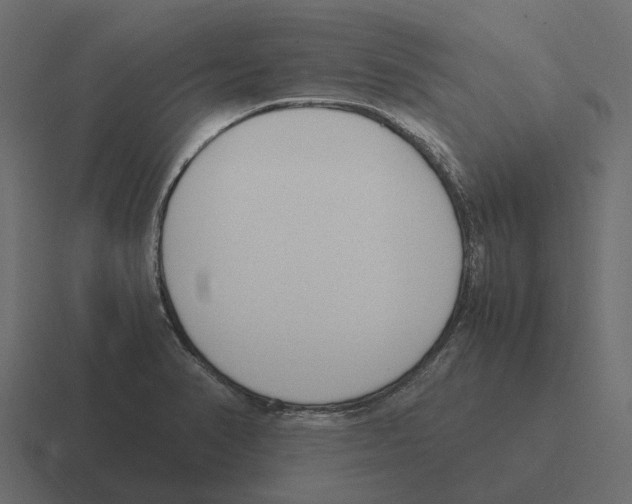 X0000116331374200912291544