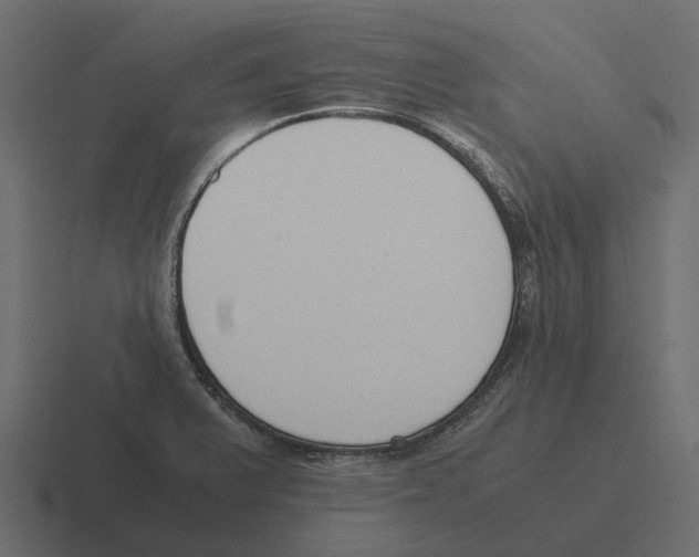 X0000116331375200912291544