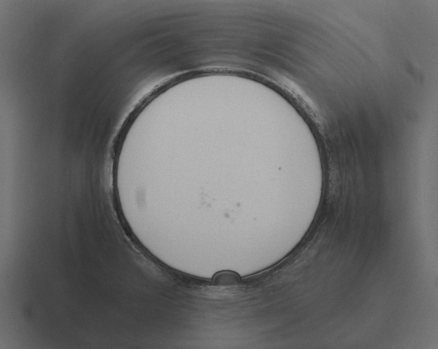 X0000116331376200912291544