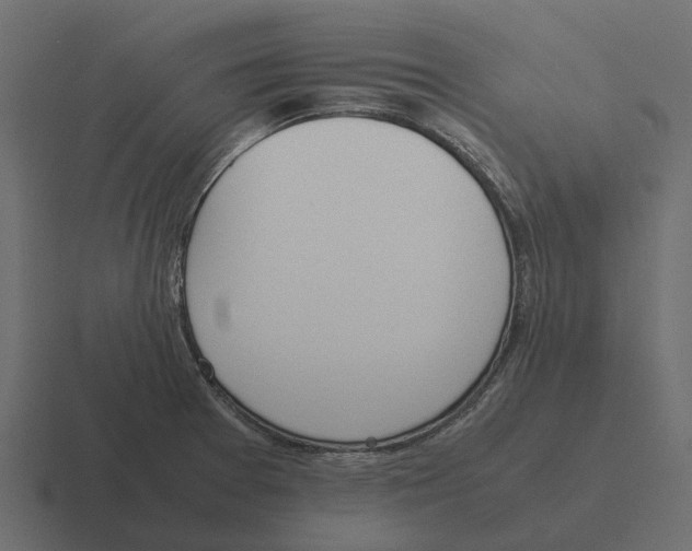 X0000116331377200912291544