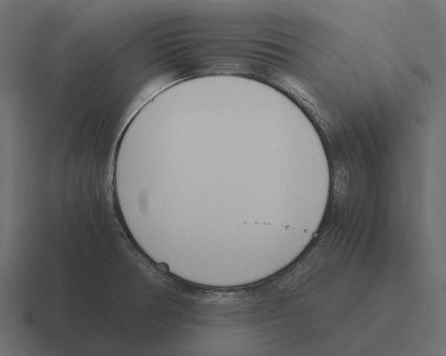 X0000116331378200912291544