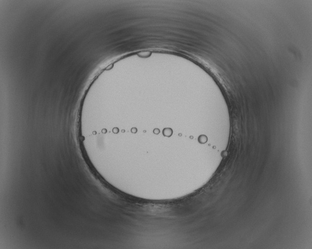 X0000116331379200912291544