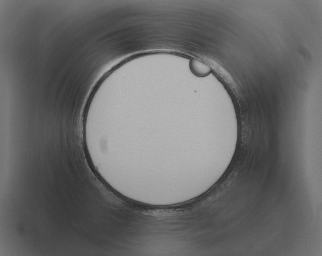 X0000116331380200912291544