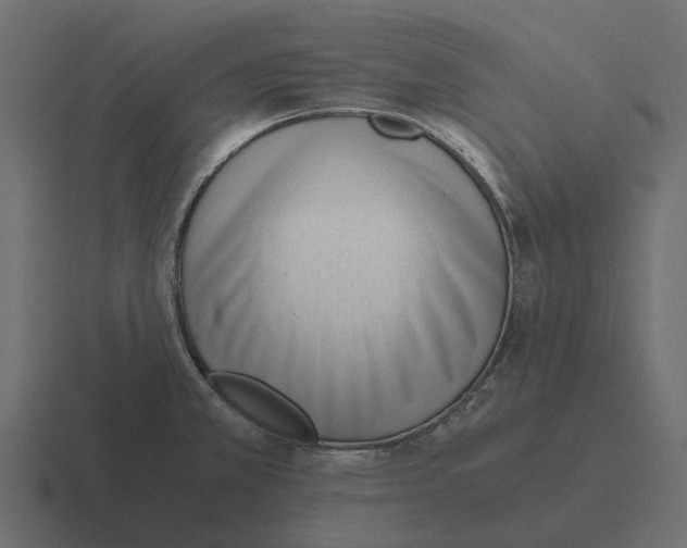 X0000116331381200912291544