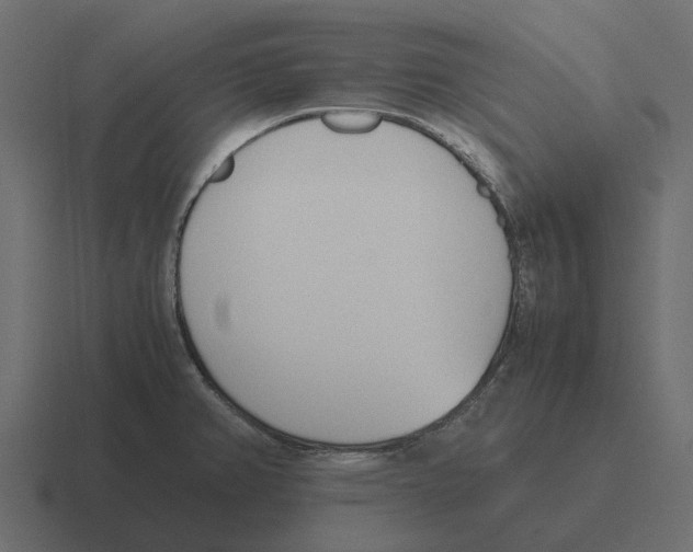 X0000116331382200912291544