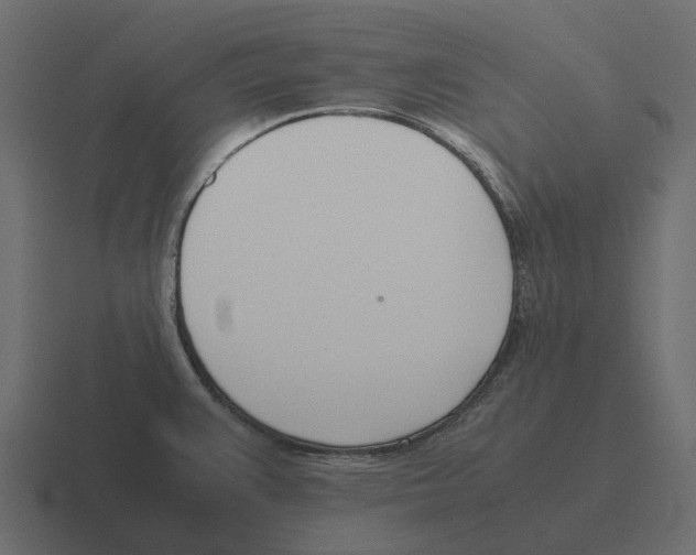 X0000116331383200912291544