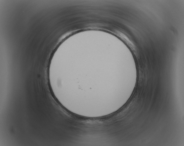 X0000116331384200912291544