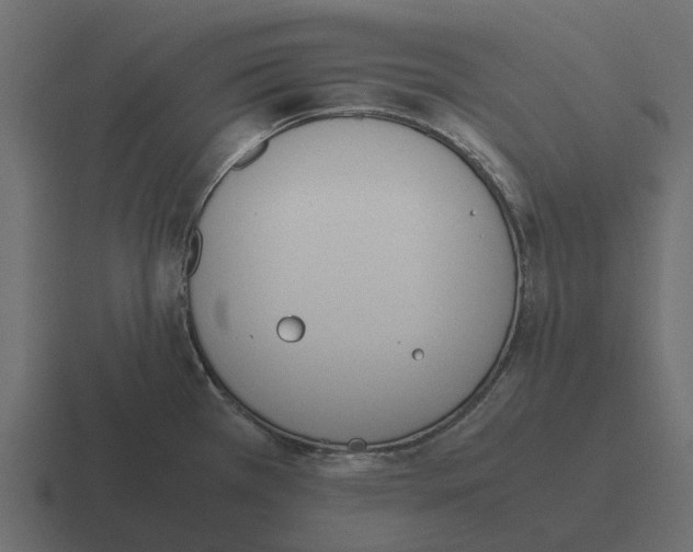 X0000116331385200912291544