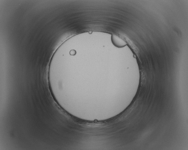 X0000116331386200912291544