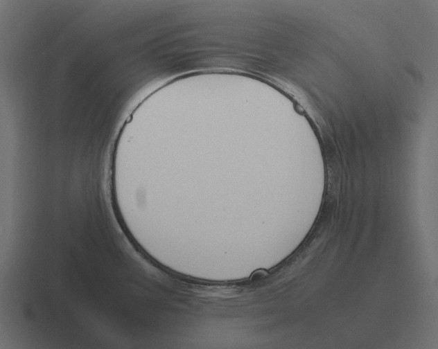 X0000116331387200912291544