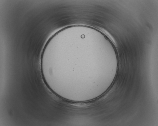 X0000116331388200912291544